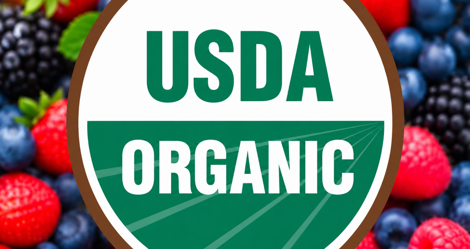 USDA Organic certified beverage manufacturer Nutrition Labs in Clearwater, Florida 