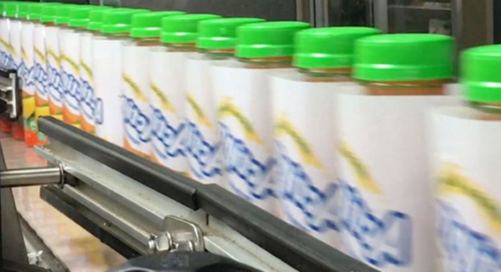 Protein Drink Bottling Line Protein drink bottles on conveyor at Nutrition Labs beverage co-packing facility in Clearwater, Florida